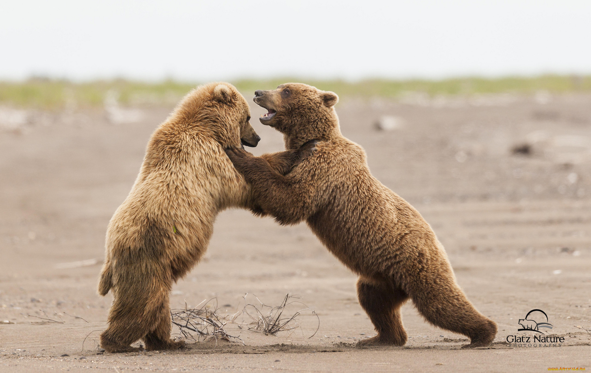 , , , lake clark national park, alaska, , 